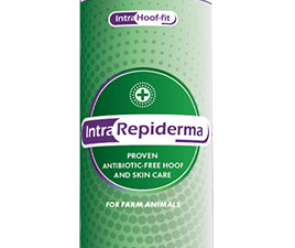 Repiderma Hautschutzspray 250 ml