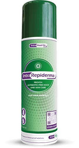 Repiderma Hautschutzspray 250 ml