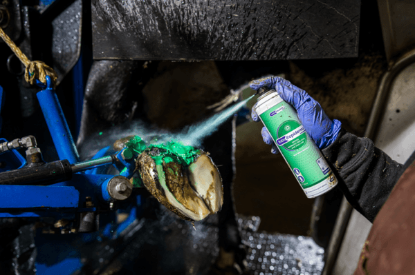 Repiderma Hautschutzspray 250 ml