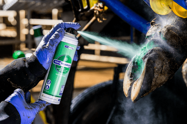 Repiderma Hautschutzspray 250 ml