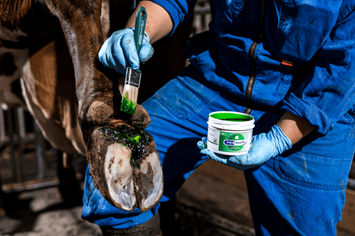 Intra Hoof-fit Gel 330 ml, inkl. Pinsel