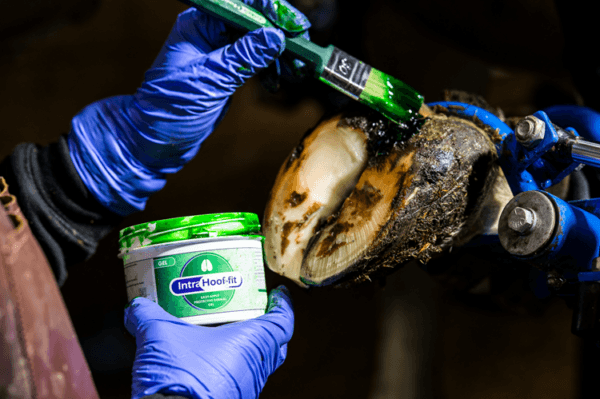 Intra Hoof-fit Gel 330 ml, inkl. Pinsel