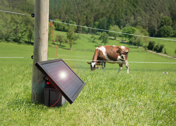 12 V Solar-Weidezaungerät mit Akku ranger AS180
