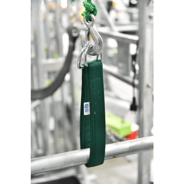 Hinterbeinband für DHC elektrischen Klauenpflegestand (13)