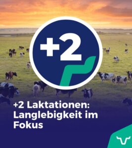 +2 laktationen
