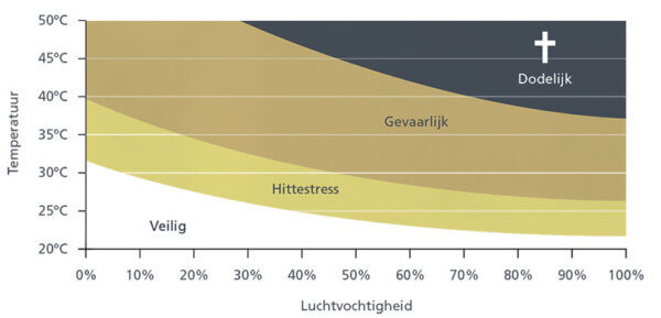 Hitzestress bei Milchkühen; Vorbeugung ist besser als Heilung!