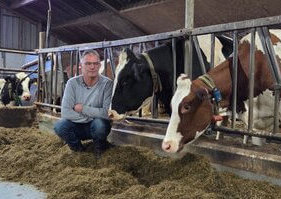 Propylenglykol-Alternative für Kühe in der Startphase