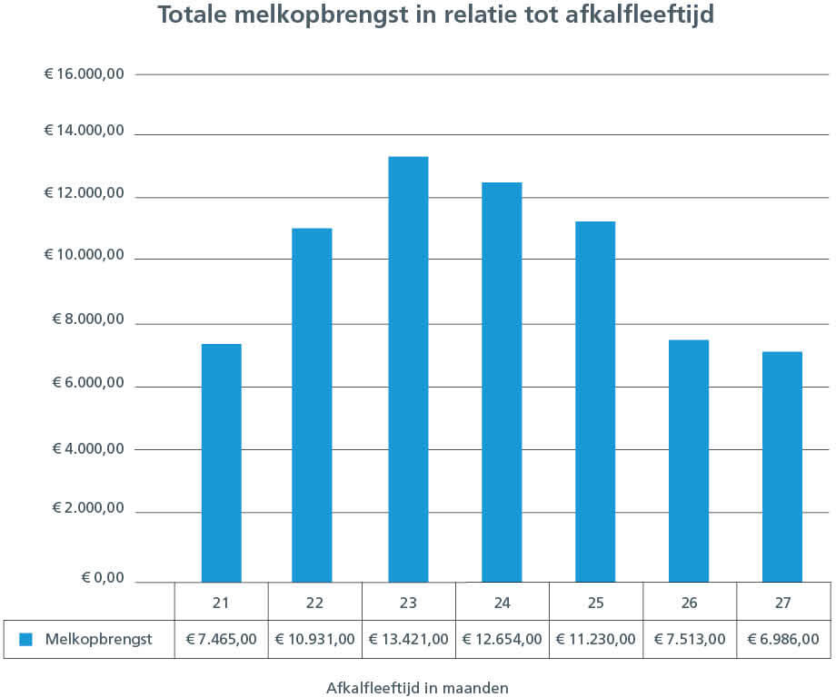 Afbeelding: Totale levensproductie in relatie tot afkalfleeftijd van vaarzen in maanden  (Bron: Schothorst 2011)
