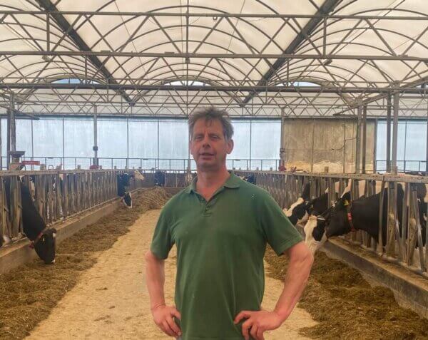 “Die Trockenstehzeit ist das Allerwichtigste”🐄