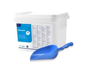 Recover 12 kg Vorratseimer + Mess-Schaufel