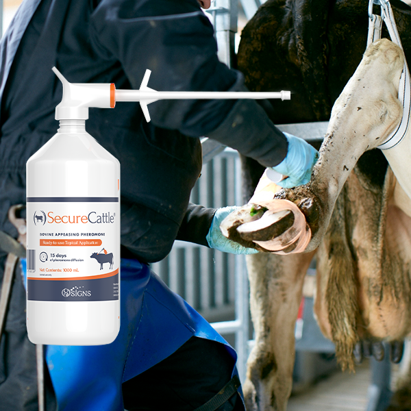 SecureCattle Pour-on 1 Liter