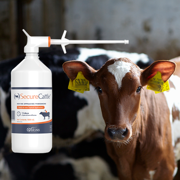 SecureCattle Pour-on 1 Liter