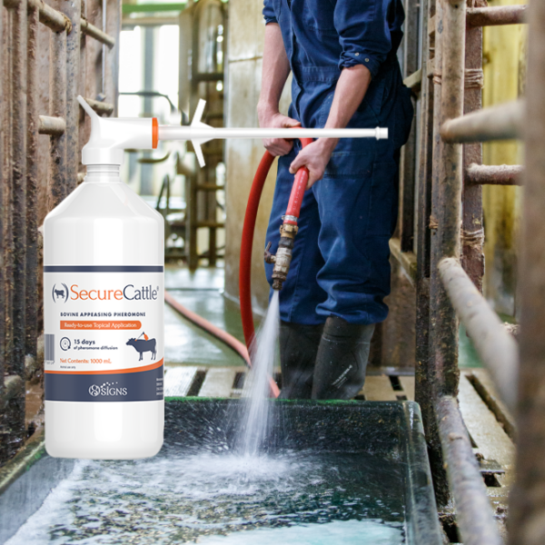 SecureCattle Pour-on 1 Liter