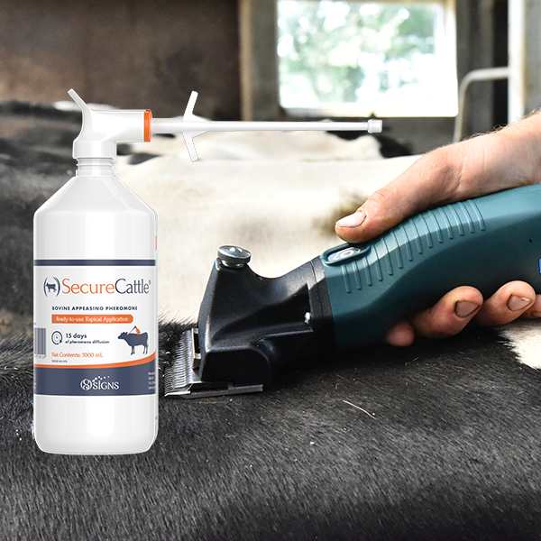 SecureCattle Pour-on 1 Liter