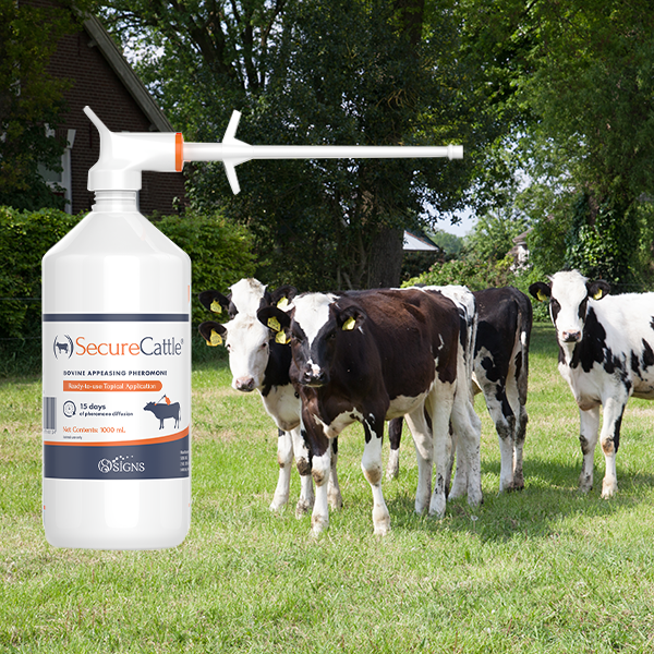 SecureCattle Pour-on 1 Liter