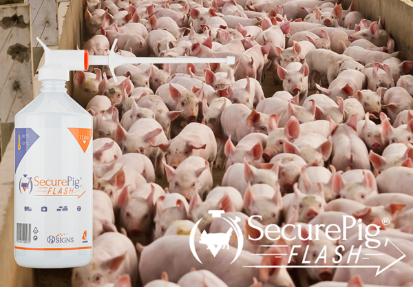 SecurePig Flash Pour-on 1 Liter