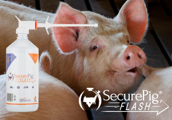 SecurePig Flash Pour-on 1 Liter