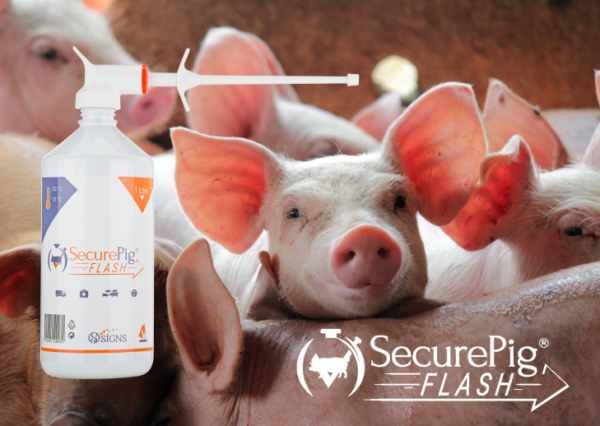 SecurePig Flash Pour-on 1 Liter